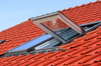 Radcliffe roof window